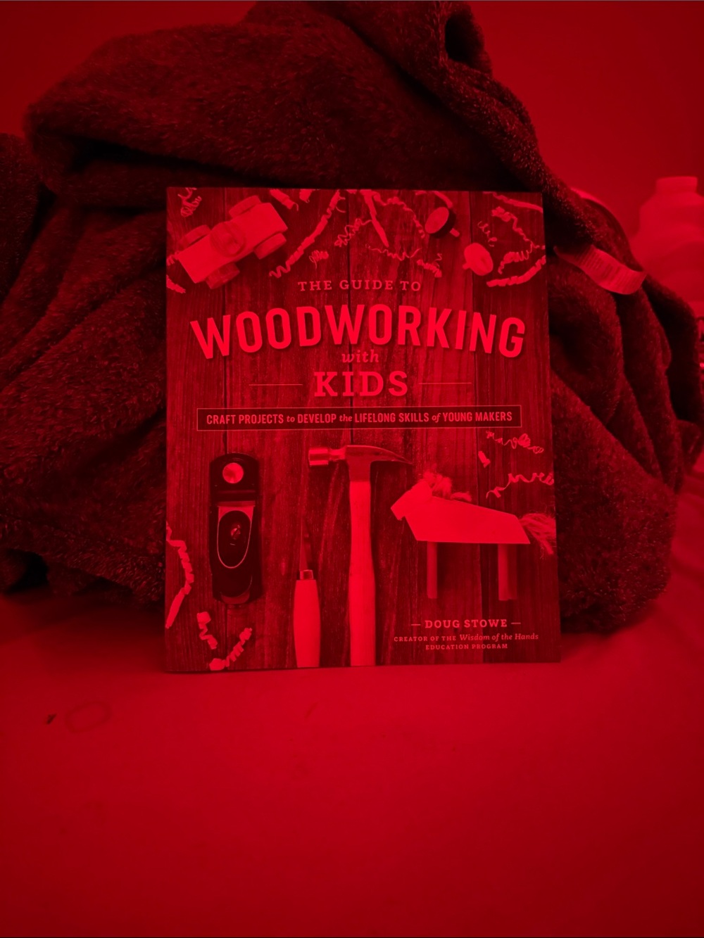 The guide Woodworking with kids